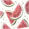Lunchservietten watermelon