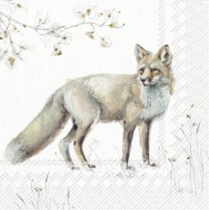Engel Muriel Woodland fox