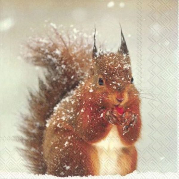 Lunchservietten „Winter squirrel“ 1